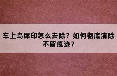 车上鸟屎印怎么去除？如何彻底清除不留痕迹？