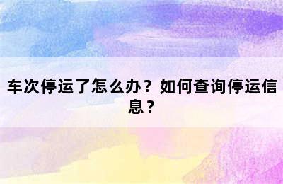 车次停运了怎么办？如何查询停运信息？