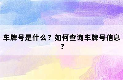 车牌号是什么？如何查询车牌号信息？