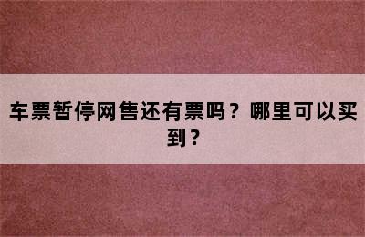 车票暂停网售还有票吗？哪里可以买到？