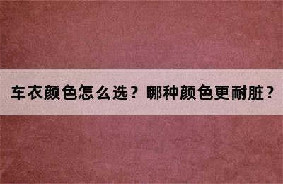 车衣颜色怎么选？哪种颜色更耐脏？