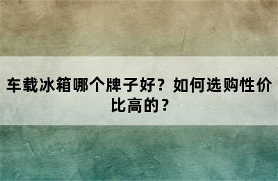 车载冰箱哪个牌子好？如何选购性价比高的？