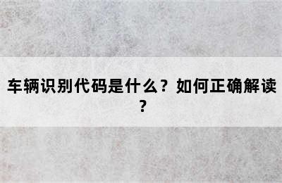 车辆识别代码是什么？如何正确解读？