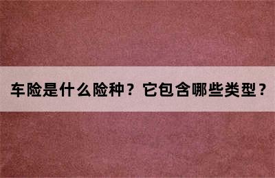 车险是什么险种？它包含哪些类型？