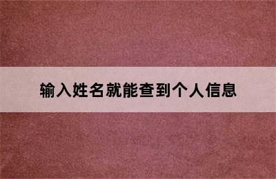 输入姓名就能查到个人信息