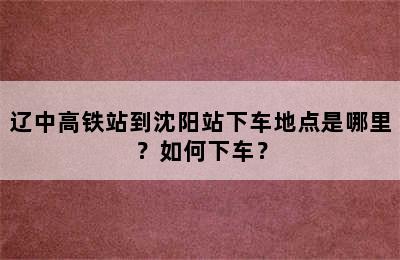 辽中高铁站到沈阳站下车地点是哪里？如何下车？