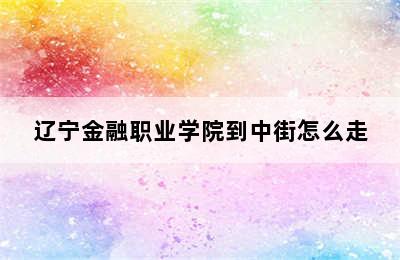 辽宁金融职业学院到中街怎么走