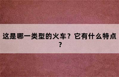 这是哪一类型的火车？它有什么特点？