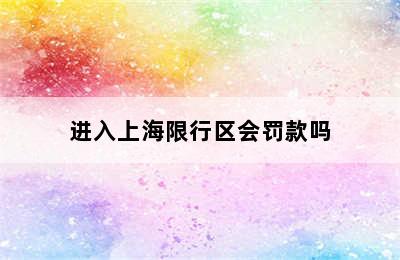 进入上海限行区会罚款吗