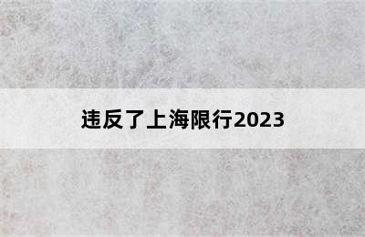 违反了上海限行2023