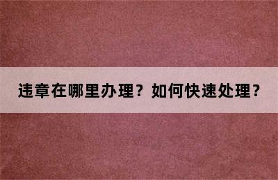 违章在哪里办理？如何快速处理？