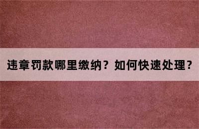 违章罚款哪里缴纳？如何快速处理？