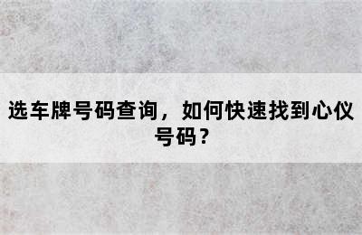 选车牌号码查询，如何快速找到心仪号码？