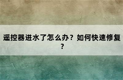 遥控器进水了怎么办？如何快速修复？