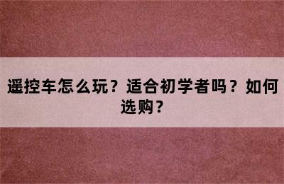 遥控车怎么玩？适合初学者吗？如何选购？