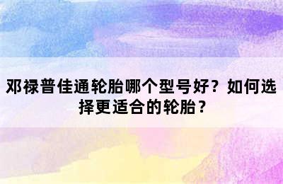 邓禄普佳通轮胎哪个型号好？如何选择更适合的轮胎？