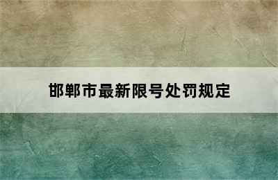 邯郸市最新限号处罚规定