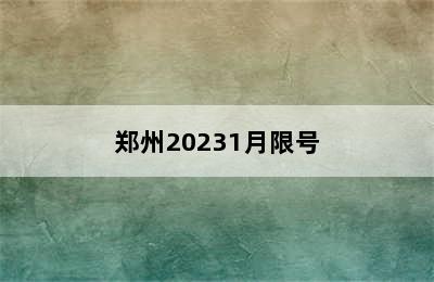 郑州20231月限号