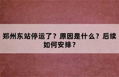 郑州东站停运了？原因是什么？后续如何安排？