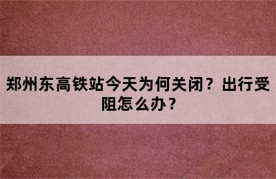 郑州东高铁站今天为何关闭？出行受阻怎么办？