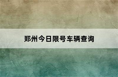 郑州今日限号车辆查询