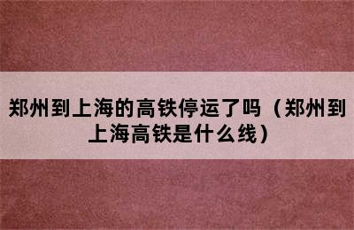 郑州到上海的高铁停运了吗（郑州到上海高铁是什么线）