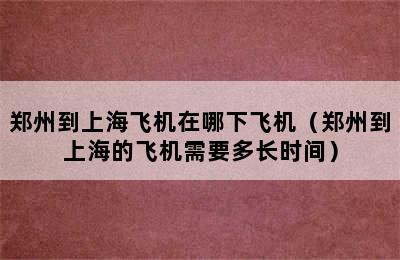 郑州到上海飞机在哪下飞机（郑州到上海的飞机需要多长时间）