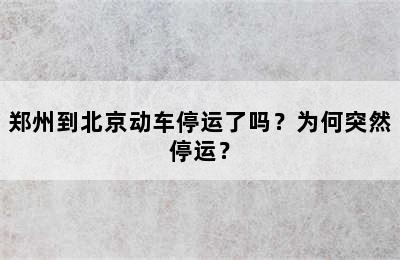郑州到北京动车停运了吗？为何突然停运？