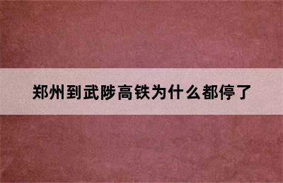 郑州到武陟高铁为什么都停了