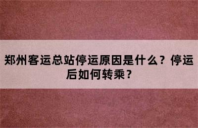 郑州客运总站停运原因是什么？停运后如何转乘？