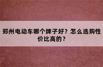 郑州电动车哪个牌子好？怎么选购性价比高的？