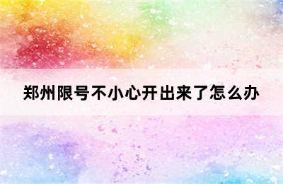 郑州限号不小心开出来了怎么办