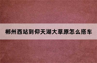 郴州西站到仰天湖大草原怎么搭车