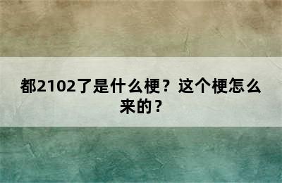 都2102了是什么梗？这个梗怎么来的？