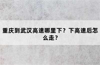 重庆到武汉高速哪里下？下高速后怎么走？