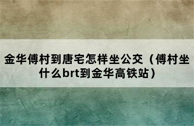 金华傅村到唐宅怎样坐公交（傅村坐什么brt到金华高铁站）