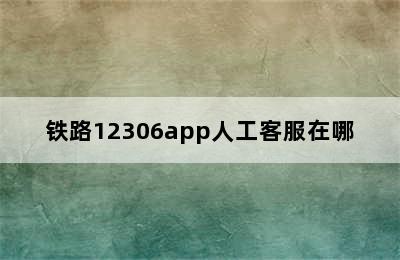 铁路12306app人工客服在哪