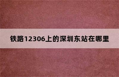 铁路12306上的深圳东站在哪里