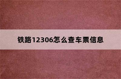 铁路12306怎么查车票信息