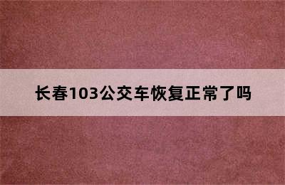 长春103公交车恢复正常了吗