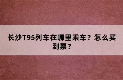 长沙T95列车在哪里乘车？怎么买到票？