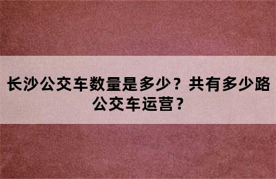 长沙公交车数量是多少？共有多少路公交车运营？