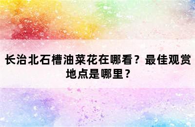 长治北石槽油菜花在哪看？最佳观赏地点是哪里？