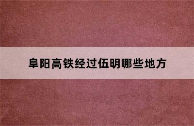 阜阳高铁经过伍明哪些地方