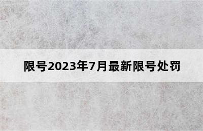 限号2023年7月最新限号处罚