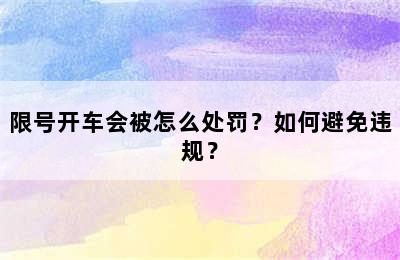 限号开车会被怎么处罚？如何避免违规？