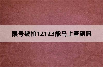 限号被拍12123能马上查到吗