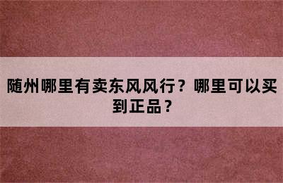 随州哪里有卖东风风行？哪里可以买到正品？