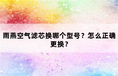 雨燕空气滤芯换哪个型号？怎么正确更换？