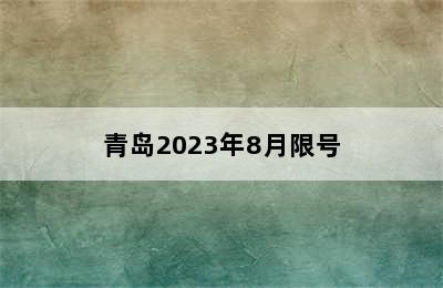 青岛2023年8月限号